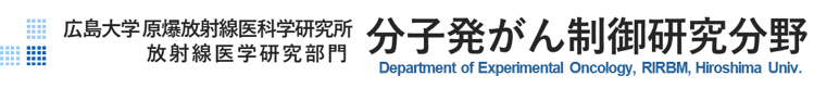 �L����w�@���㌤�@���q�����񐧌䌤������